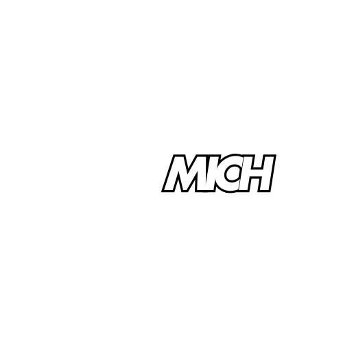 LASSMICH